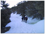 2001:03:30 06:42:52