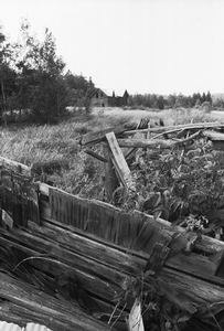 Outside, from next to barn ruin