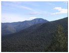 Looking northeast at Giant Mtn, Noonmark Burned Area