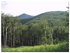 Looking southwest at Dial Mtn